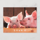 Suche nach ferkel postkarten Lustig