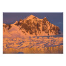 Suche nach antarktisch poster Gefroren