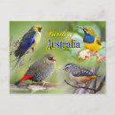Suche nach rosella poster Blau