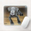 Suche nach pitbull welpen mousepads Pillbulle