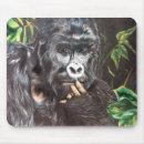 Suche nach gorrilla Affe