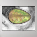 Suche nach avocado poster Küche