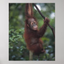 Suche nach tierfamilie poster Vertikal