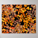 Suche nach herb poster Blume