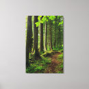 Suche nach waldweg leinwandbilder Baum