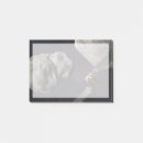 Suche nach asteroiden poster Weltraumkunst