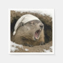 Recherche de marmotte serviettes Février