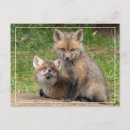 Suche nach liebend postkarten Natur
