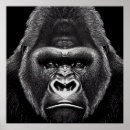 Suche nach ape poster Natur
