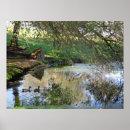 Suche nach enten im flug poster Natur