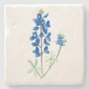 Suche nach lupine untersetzer Texas