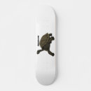 Recherche de tortue skateboards Reptile