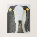 Suche nach kaiser pinguin puzzle Pinguine