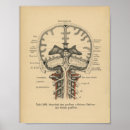 Recherche de skull posters Medical