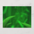 Recherche de coccinelle rose cartes postales Vert
