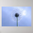 Suche nach grauer himmel poster Natur