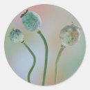 Recherche de grand format autocollants Galerie jaynes