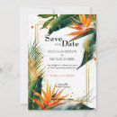 Suche nach exotische vögel einladungen Paradiesvogel