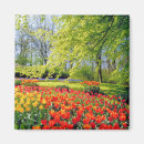 Suche nach lisse Keukenhof