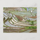 Recherche de yunnan cartes postales Paysage