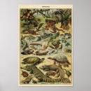 Suche nach reptilien poster Schlange