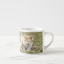 Recherche de animal photo tasses Nature