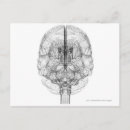 Recherche de cellules cartes postales Personnes