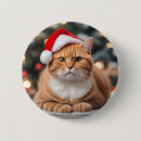 Suche nach ingwer buttons Katze