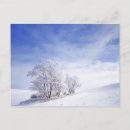 Recherche de grand format cartes postales Pittoresque