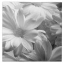 Suche nach tulpen fliesen Die niederlande