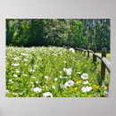 Suche nach bereich poster Felder