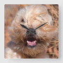 Recherche de curiosité horloges Délimiteur danita