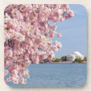 Recherche de washington dc dessous de verres Consumerproduct