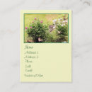 Recherche de impressionnisme cartes visite Rose