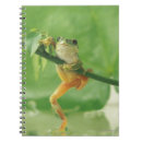 Suche nach stammes frosch Vertikal