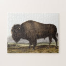 Suche nach bison puzzle Säugetier