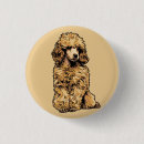 Recherche de caniche badges Illustration