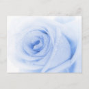 Suche nach tau poster Tag
