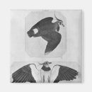 Suche nach album magnete Pisanello