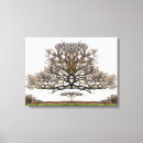 Suche nach jahreszeit leinwandbilder Baum