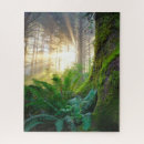 Suche nach farne puzzle Wald