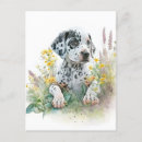 Recherche de chien dalmatien cartes postales Pour tous