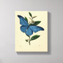 Suche nach vintage insekten leinwandbilder Blau