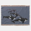 Suche nach orca decken Killerwal