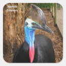 Recherche de aviaire autocollants Faune
