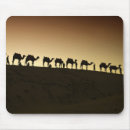 Suche nach kamele mousepads Sonnenuntergang