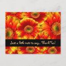 Recherche de gerbera Fleur