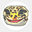 Recherche de geckos autocollants Léopard gecko