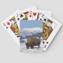 Suche nach usa spielkarten Wildnis