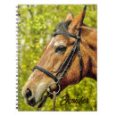 Suche nach pferd notizbuch Braunpferd